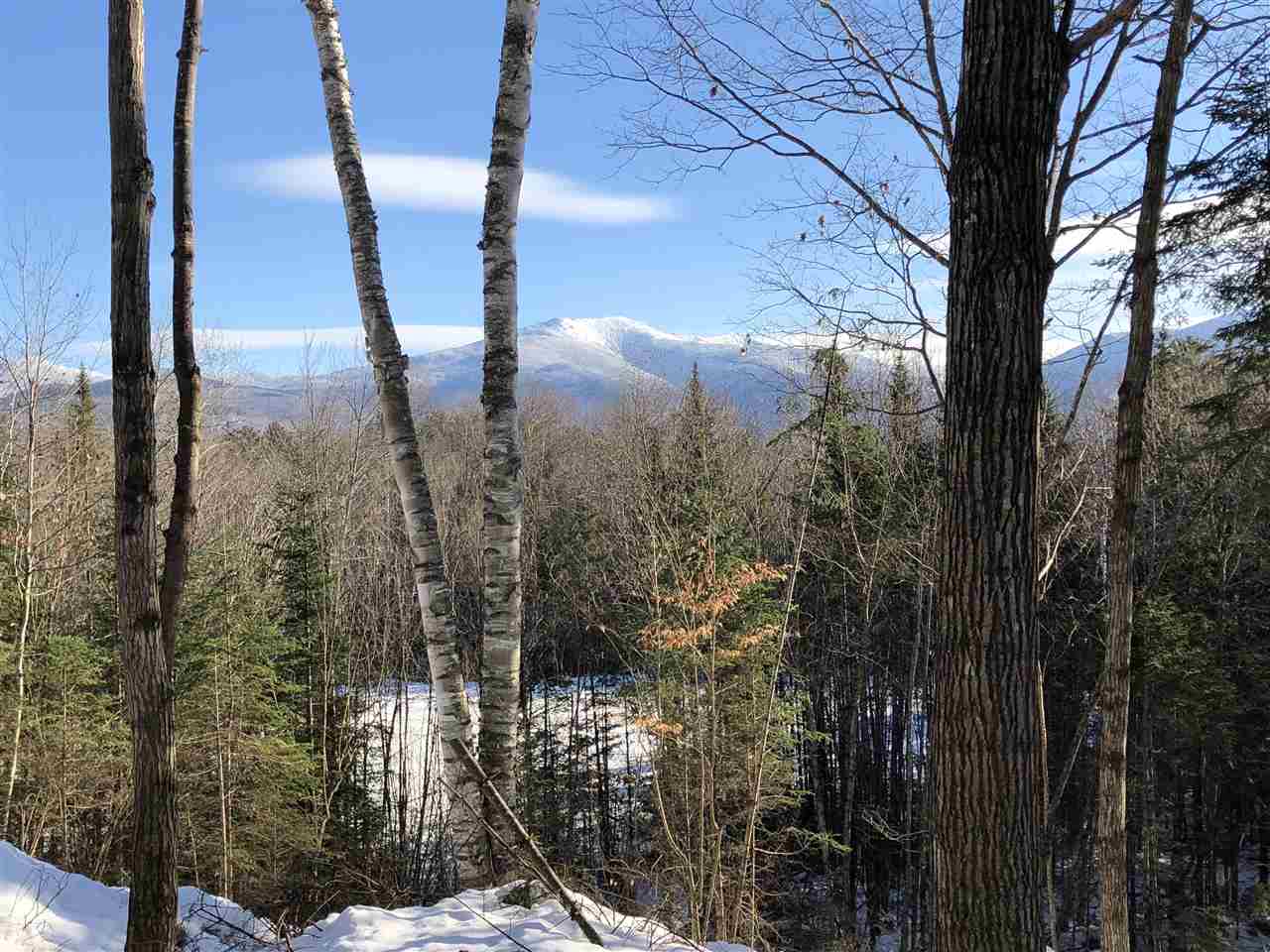 Forest Road Franconia, NH 03580 - Photo 22 of 22