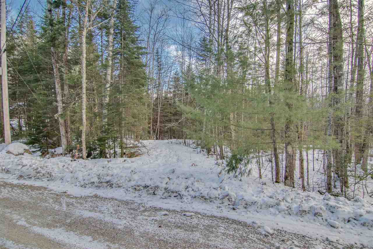 Forest Road Franconia, NH 03580 - Photo 5 of 22