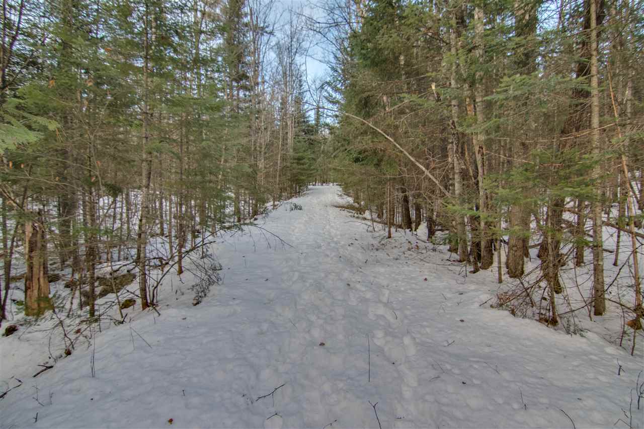 Forest Road Franconia, NH 03580 - Photo 6 of 22