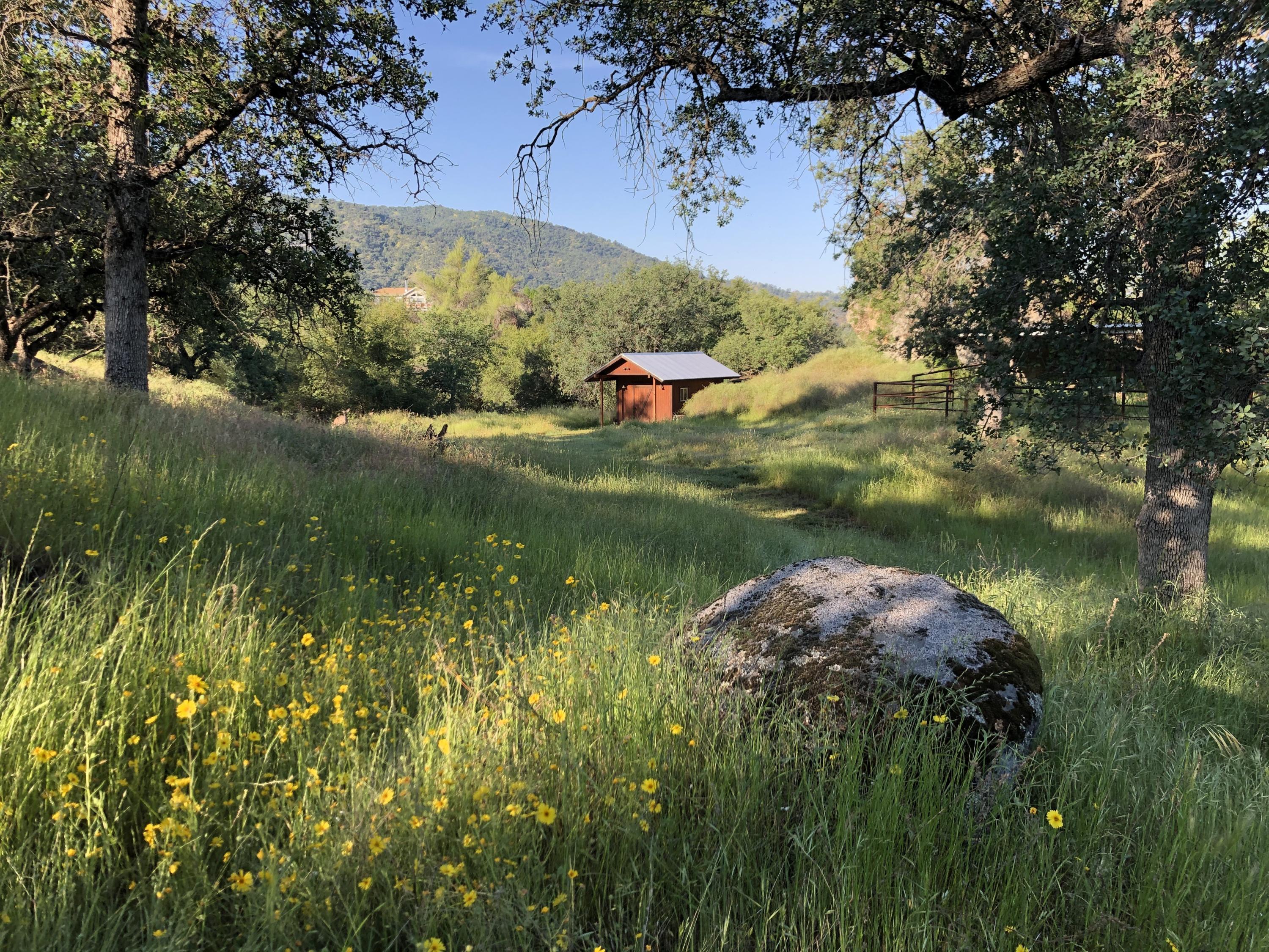 44060 Deer Canyon Road Three Rivers, CA 93271 - Photo 3 of 18 Pasture and Tack Shed