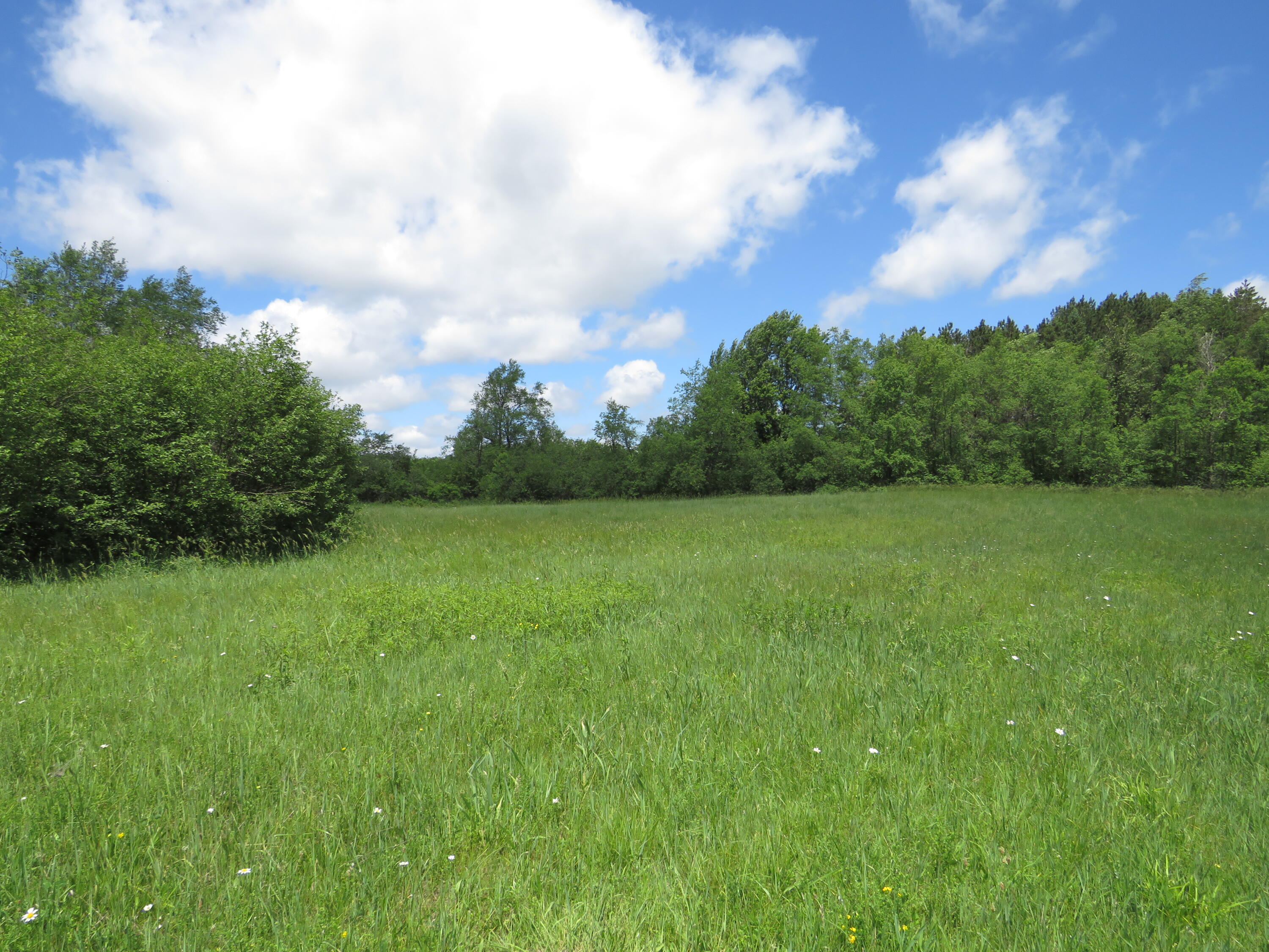 17 17 Mile Road Marion, MI 49665 - Photo 39 of 54 IMG_6802