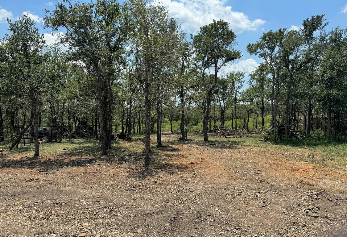 128 Passion Vine Rd Dale Dale, TX 78616 - Photo 29 of 30 a backyard of a house with lots of trees