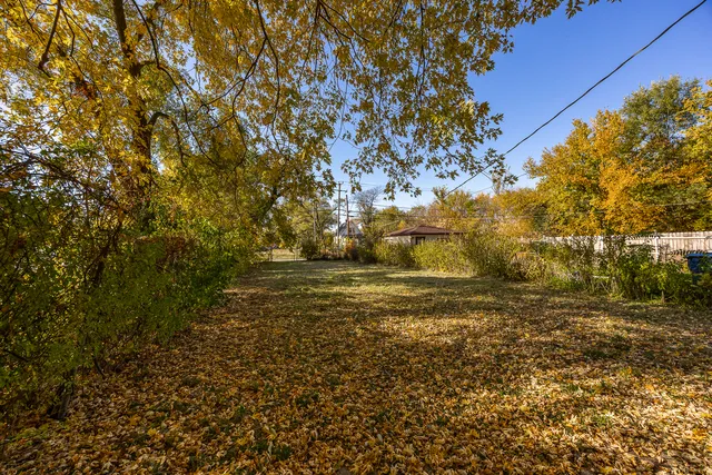 a view of beach with large trees