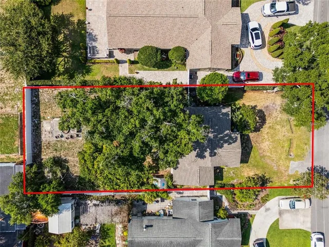 an outdoor space with potted plants