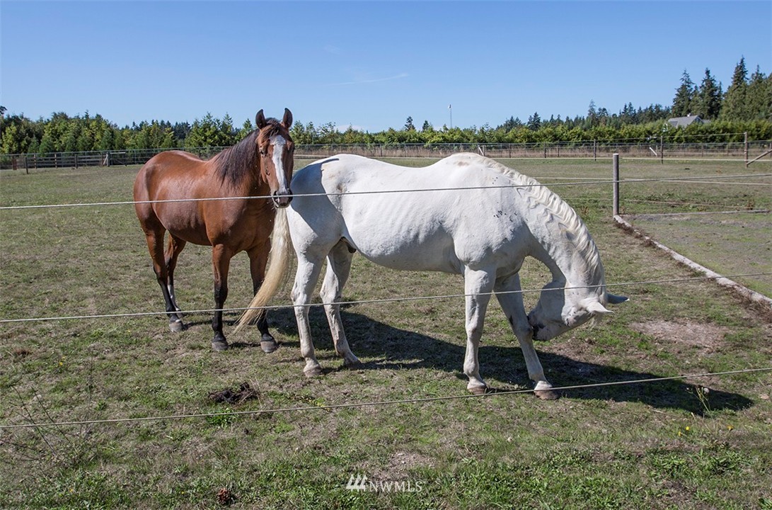 540 Finn Hall Road Port Angeles, WA 98362 - Photo 3 of 17 Gallery Image 3