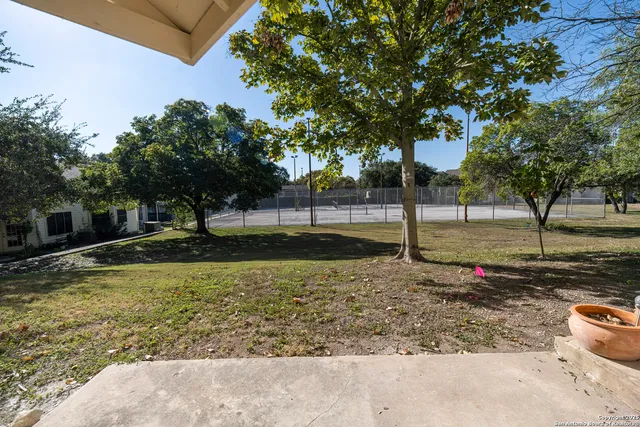 a view of a yard with a tree