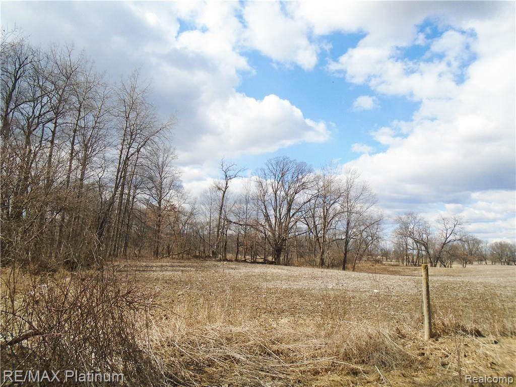 9 Hartland Road Fenton, MI 48430 - Photo 4 of 7