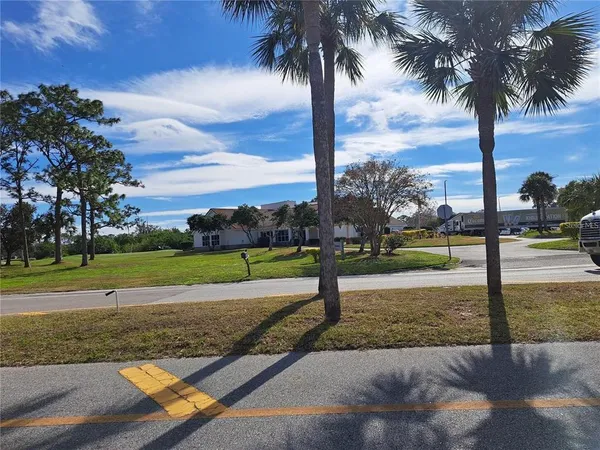 a view of a yard with palm tree