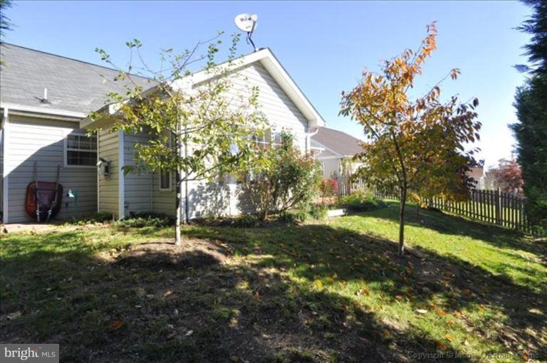 7407 Old Sandy Spring Road Laurel, MD 20707 - Photo 14 of 30 Back yard