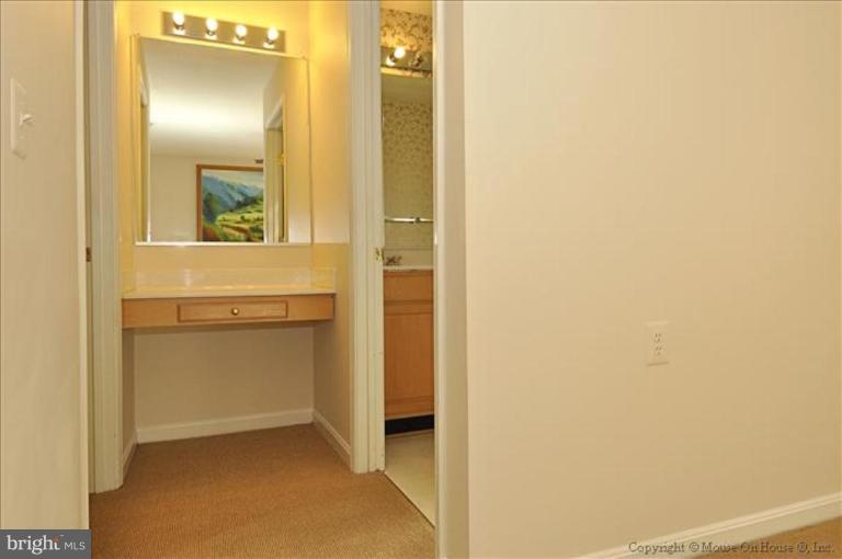 7407 Old Sandy Spring Road Laurel, MD 20707 - Photo 24 of 30 Main Level Vanity