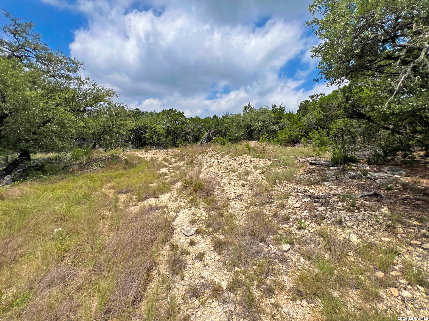 119 Champion Way Spring Branch, TX 78070 - Photo 15 of 22