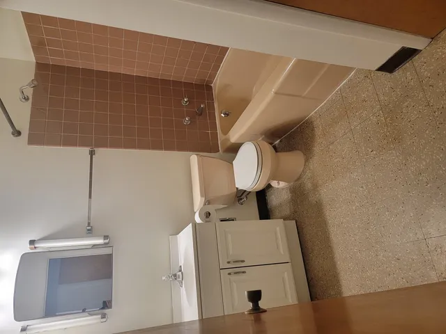 a bathroom with a toilet and a shower