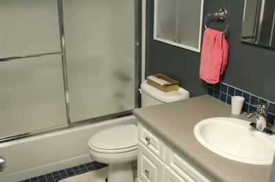 1009 Bates Avenue Three Rivers, MI 49093 - Photo 9 of 11 Additional Photo