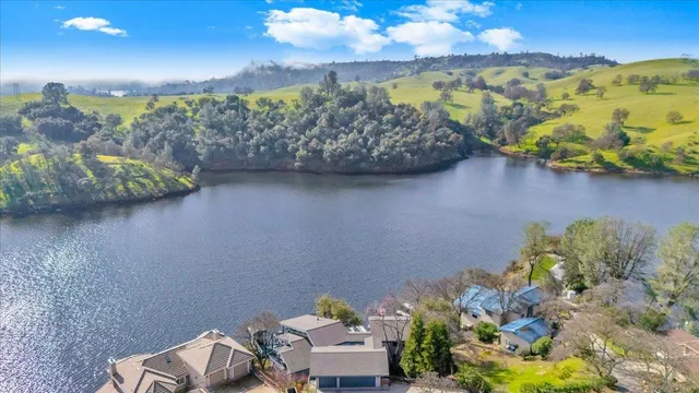 a potted plant sitting in front of a house