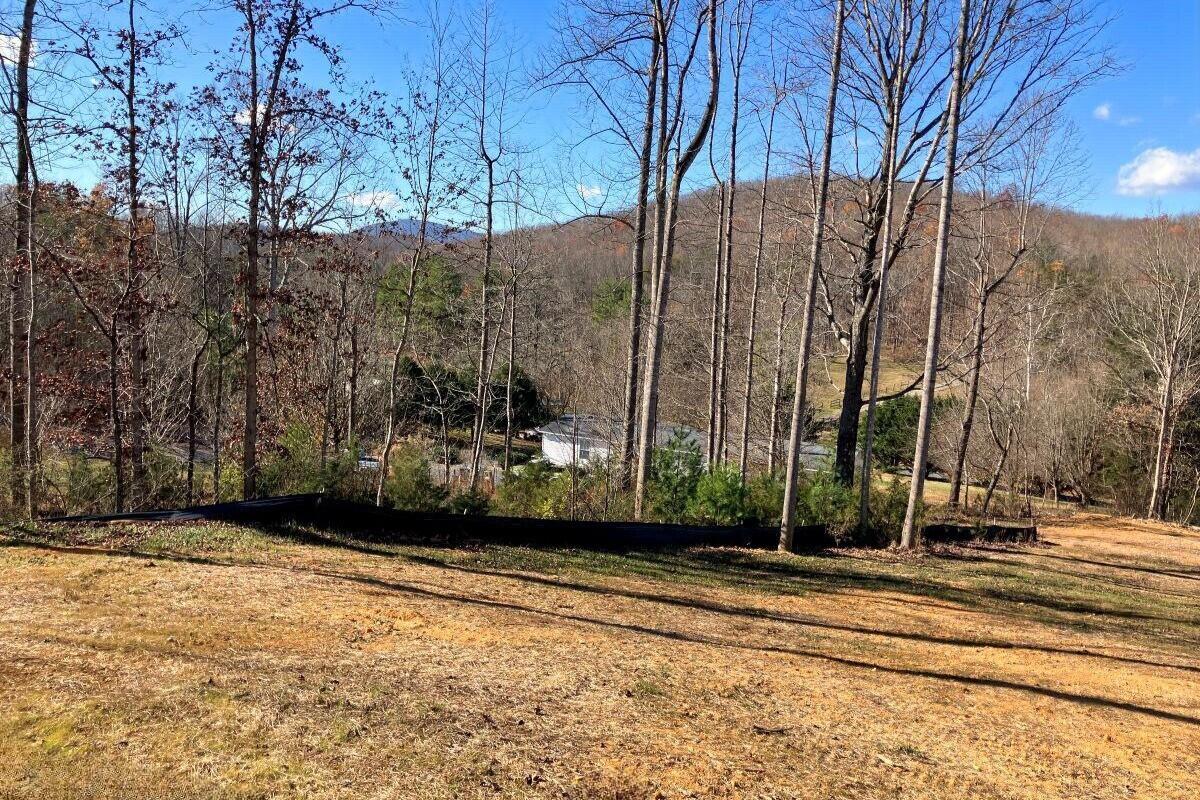 5489 Forge Road Glasgow, VA 24555 - Photo 2 of 38 Mountain Views