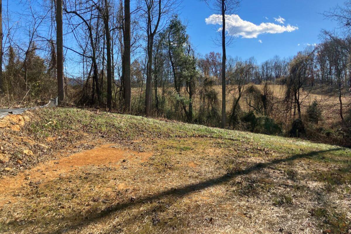 5489 Forge Road Glasgow, VA 24555 - Photo 29 of 38 a view of a yard with mountain view