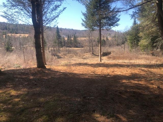 French Road, Unit 24 Dalton, NH 03598 - Photo 6 of 18