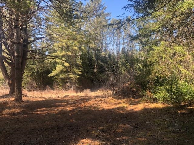 French Road, Unit 24 Dalton, NH 03598 - Photo 8 of 18