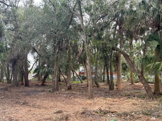 a view of trees with green space