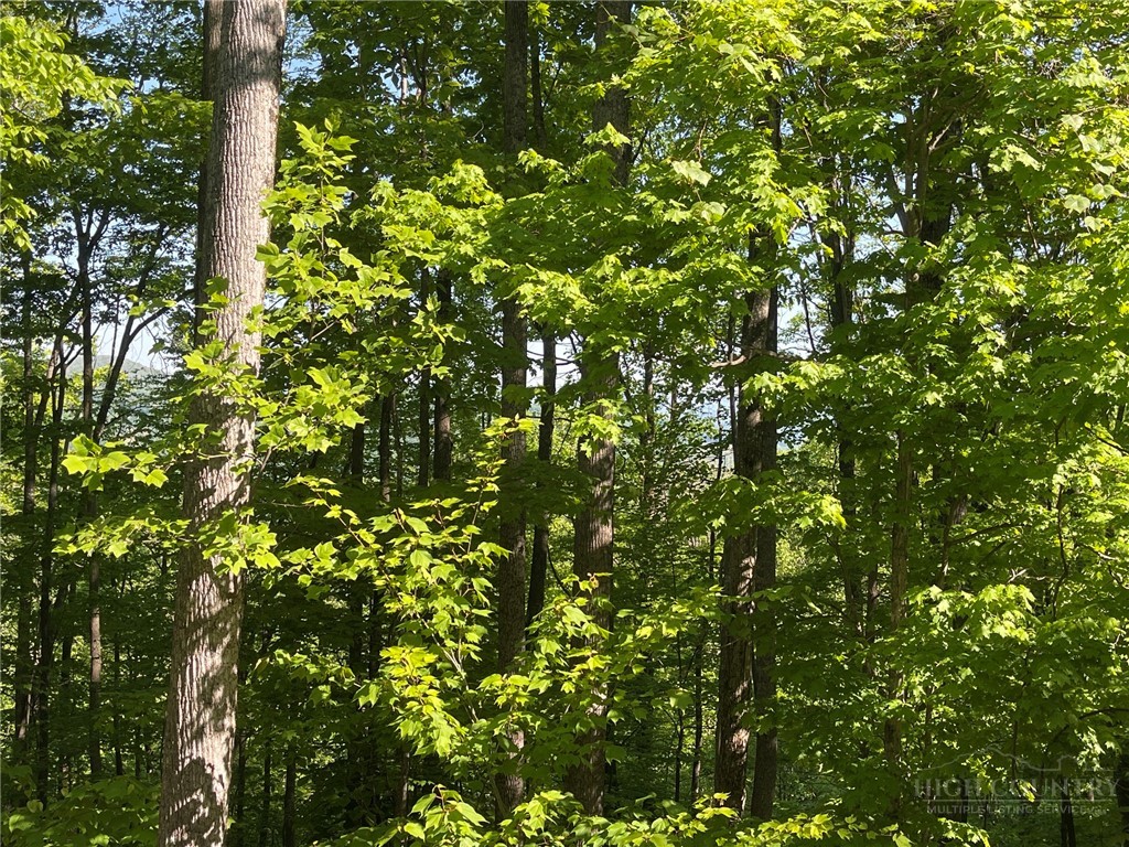 926 Pine Ridge Road Beech Mountain, NC 28604 - Photo 5 of 12