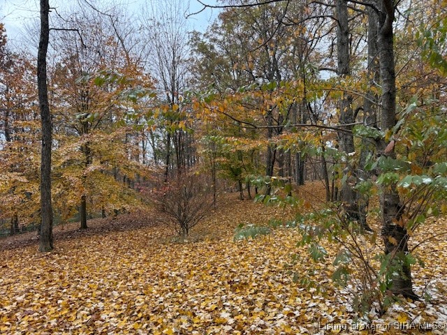 8000 South County Line Road Henryville, IN 47126 - Photo 27 of 28 The fall colors are stunning