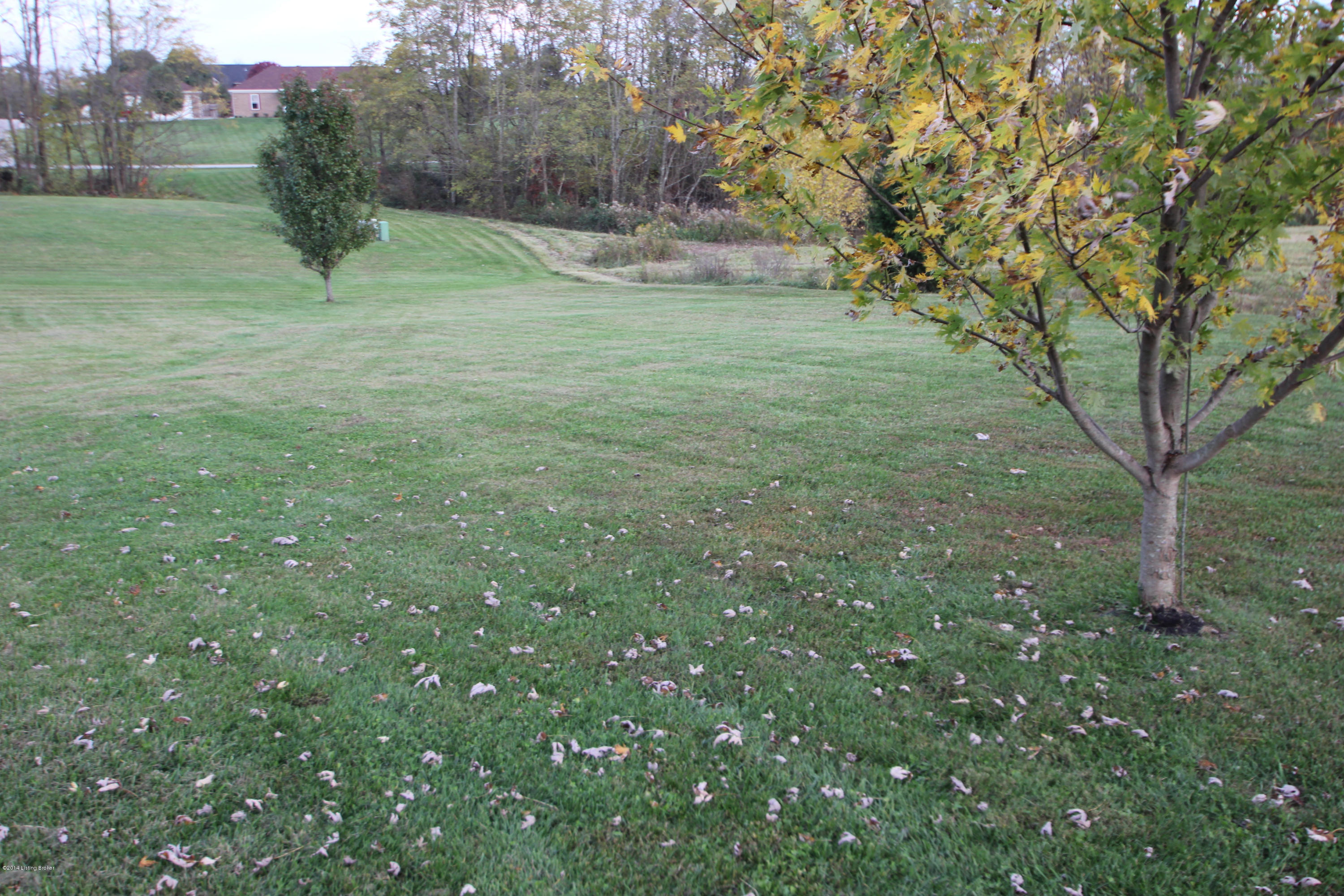Plum Ridge Rd, 1573 018