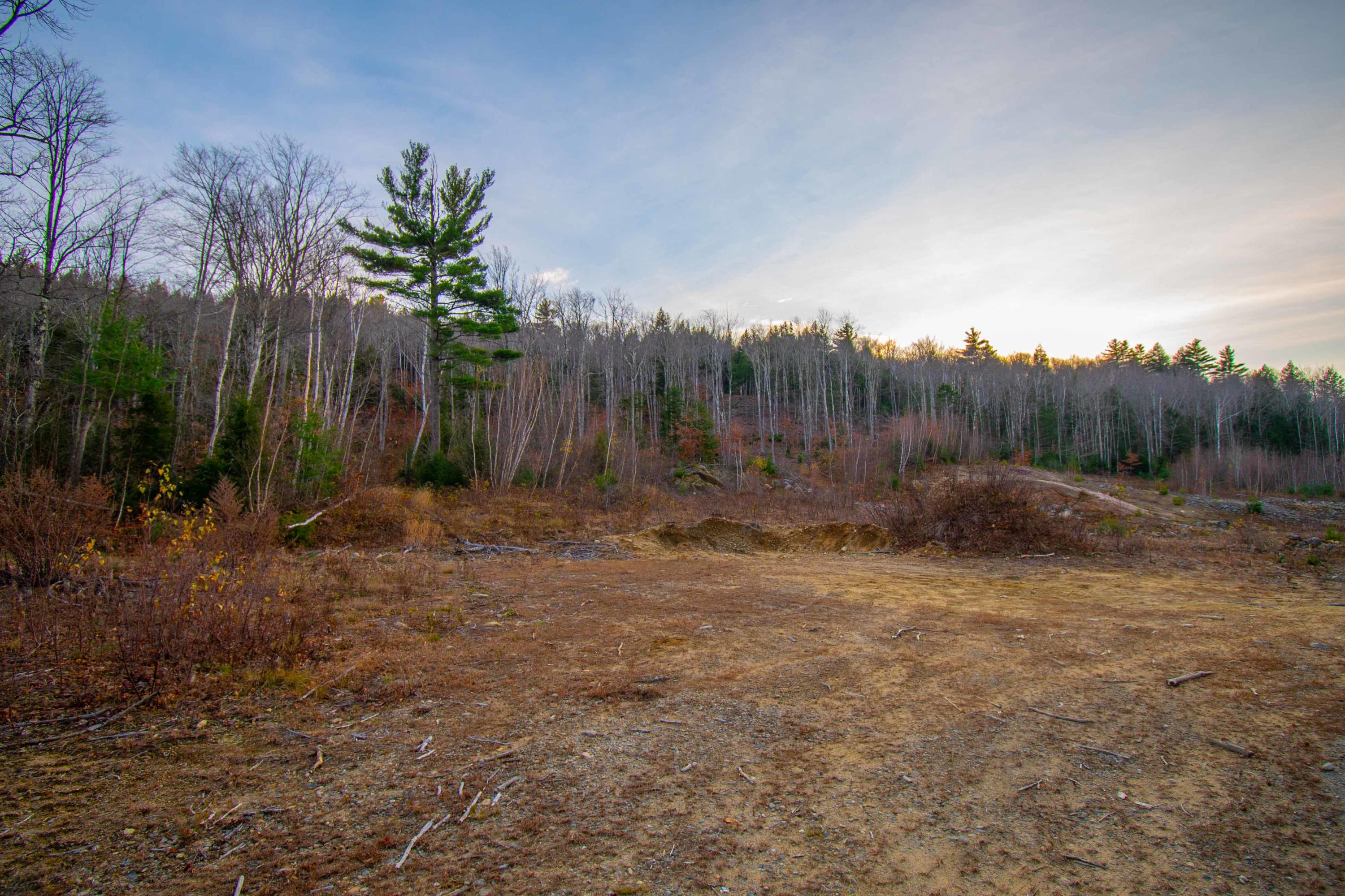 1 East Dixfield Road Jay, ME 04239 - Photo 10 of 23 DSC_7853