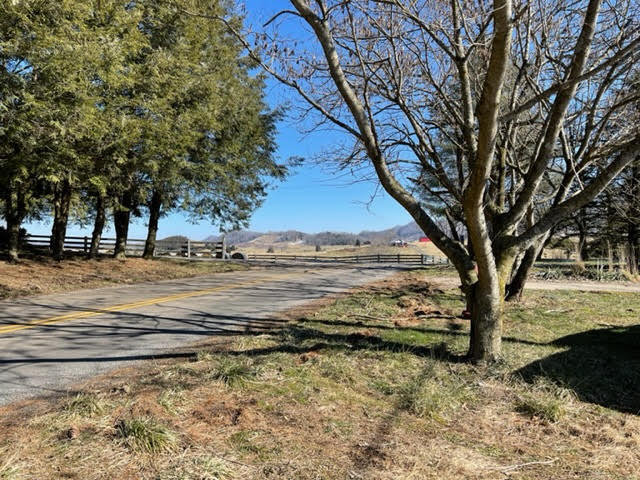 884 Reeds Valley Road Castlewood, VA 24224 - Photo 21 of 21 front yard view