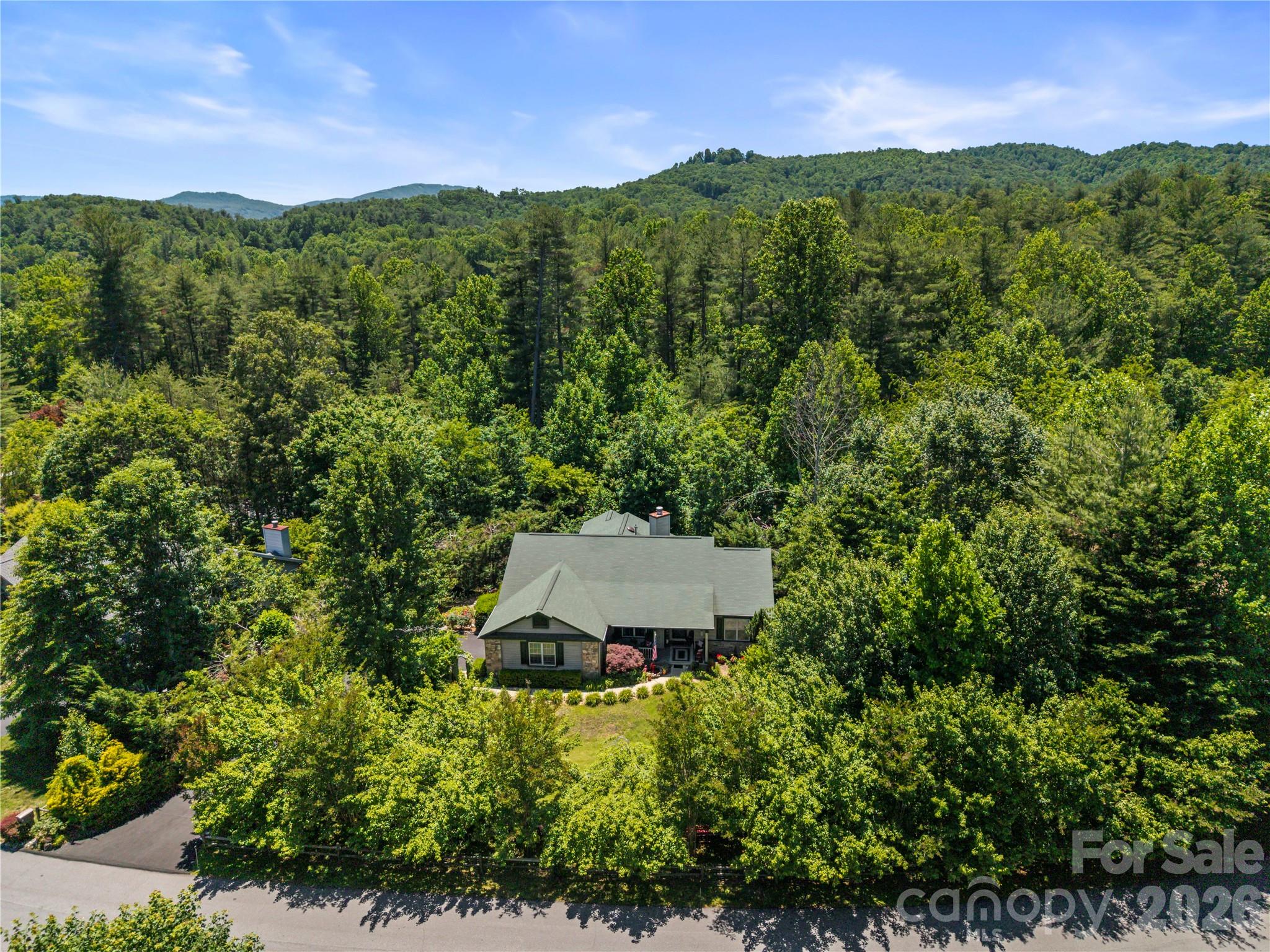 9 Tall Pines Road Hendersonville, NC 28739 - Photo 3 of 41 Gallery Image 3