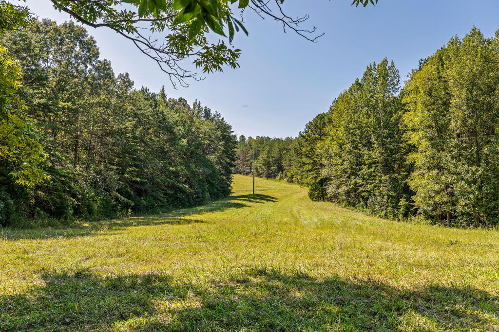 Lees Mill Road, Unit 3 Chase City, VA 23924 - Photo 39 of 64 Gallery Image 39