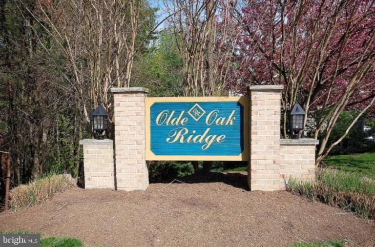 7213 Olde Lantern Way Springfield, VA 22152 - Photo 2 of 19 Other #1