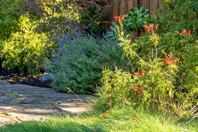 $729,000 | 7607 Valentine Street, Oakland, CA 94605