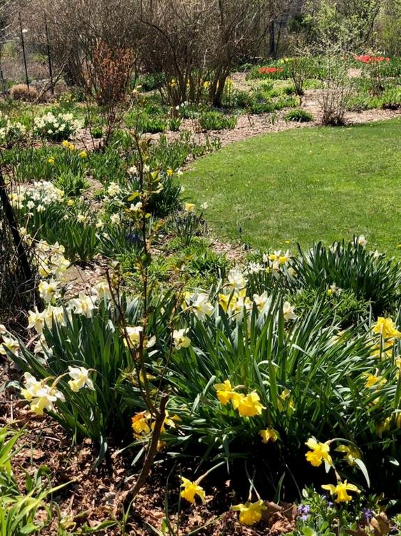 8 Holland Road Pittsburgh, PA 15235 - Photo 15 of 22 a view of yard with tree