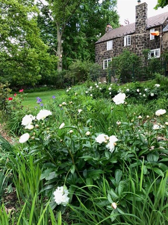 8 Holland Road Pittsburgh, PA 15235 - Photo 16 of 22 a view of a house with a tree in a garden