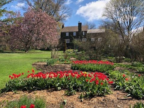 8 Holland Road Pittsburgh, PA 15235 - Photo 3 of 22 a view of a garden with flowers and trees