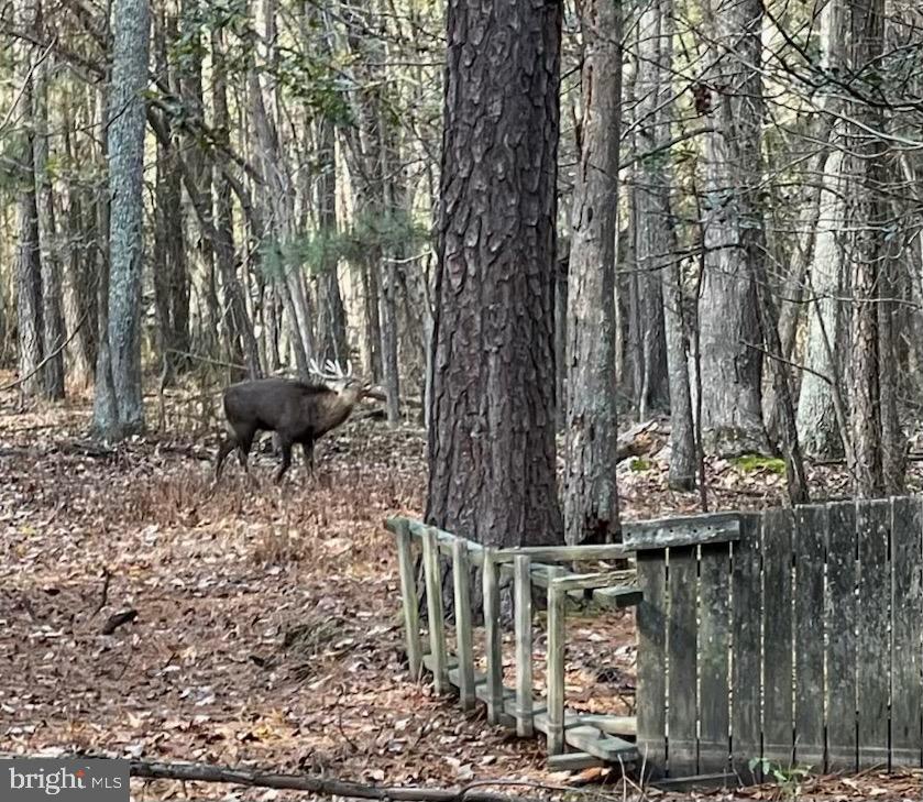 0 Hooper Neck Road Madison, MD 21648 - Photo 126 of 129