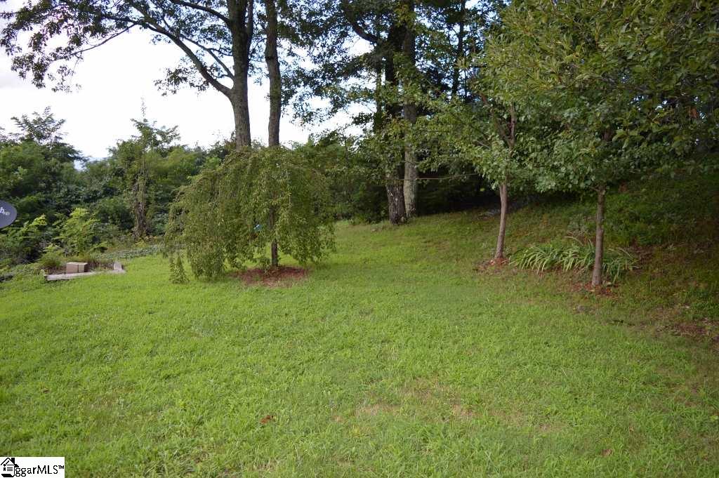 388 Summit Road Tryon, NC 28782 - Photo 14 of 19