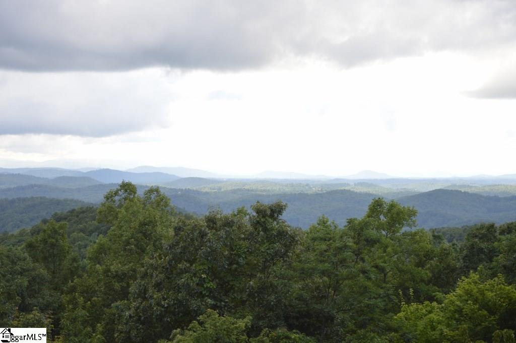 388 Summit Road Tryon, NC 28782 - Photo 17 of 19
