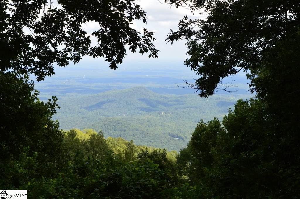 388 Summit Road Tryon, NC 28782 - Photo 5 of 19