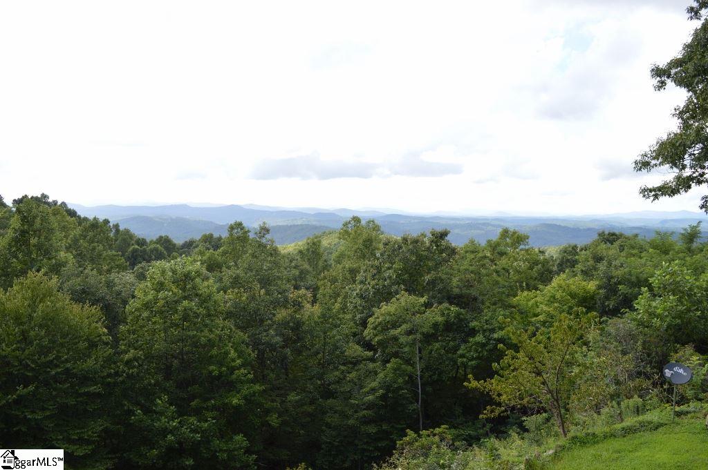 388 Summit Road Tryon, NC 28782 - Photo 6 of 19