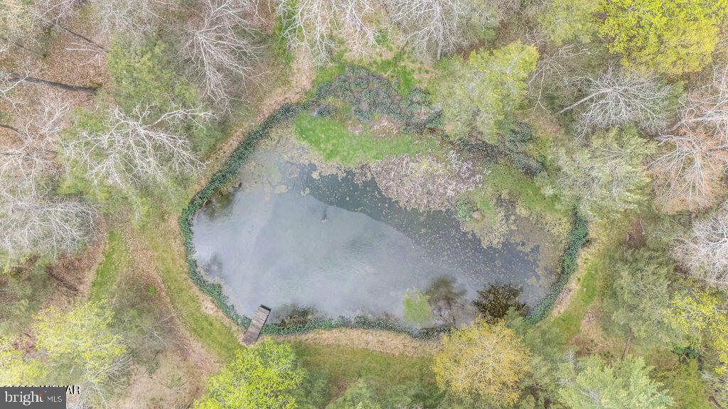 2270 Pine Tree Road Hughesville, PA 17737 - Photo 90 of 90 Serene pond nestled in lush greenery.