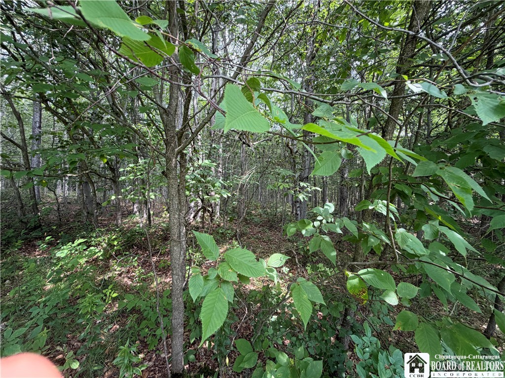 2751 Canfield Road Cohocton, NY 14826 - Photo 23 of 50