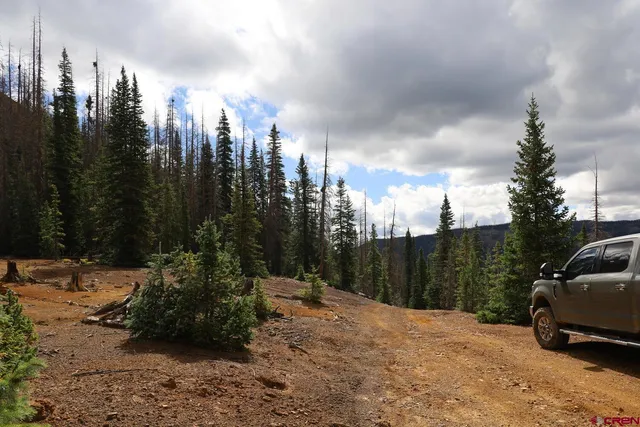 a view of a city street and trees