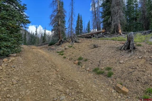 a view of a backyard of the house