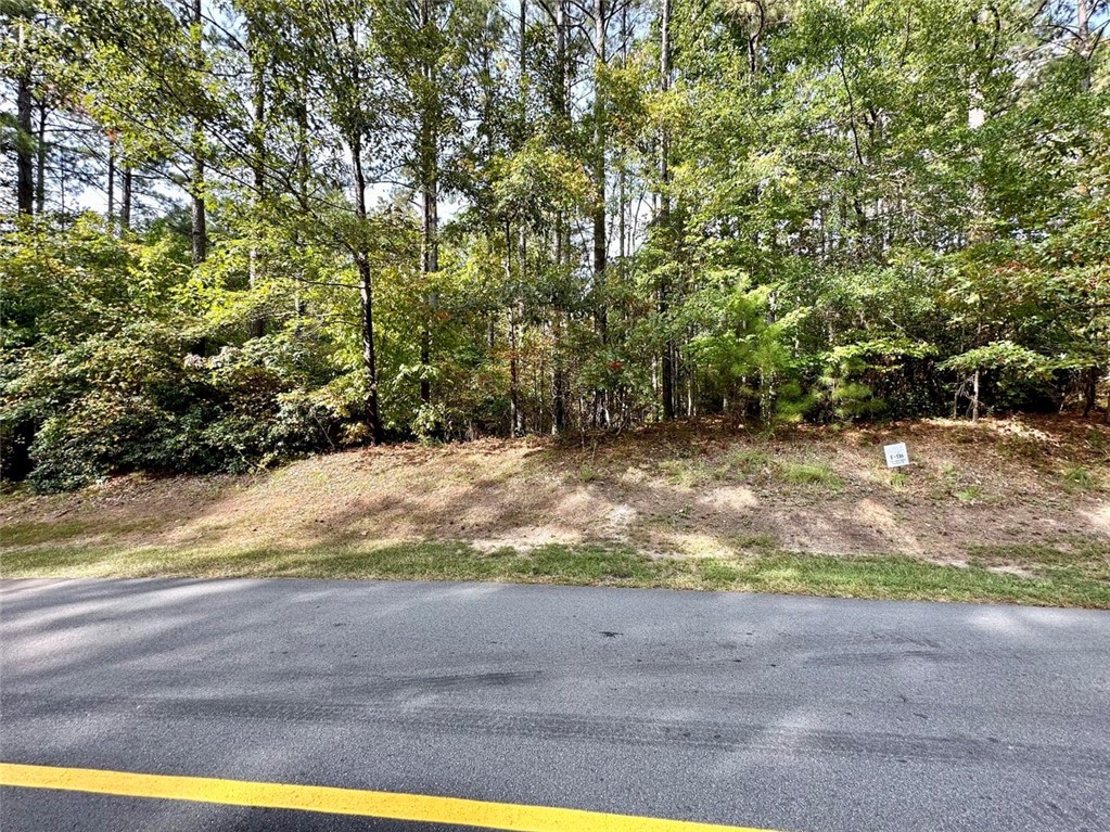 310 Top Ridge Drive Sunset, SC 29685 - Photo 2 of 9