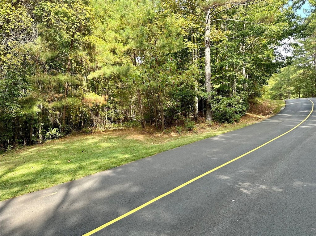 310 Top Ridge Drive Sunset, SC 29685 - Photo 3 of 9