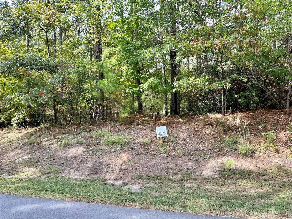 310 Top Ridge Drive Sunset, SC 29685 - Photo 5 of 9