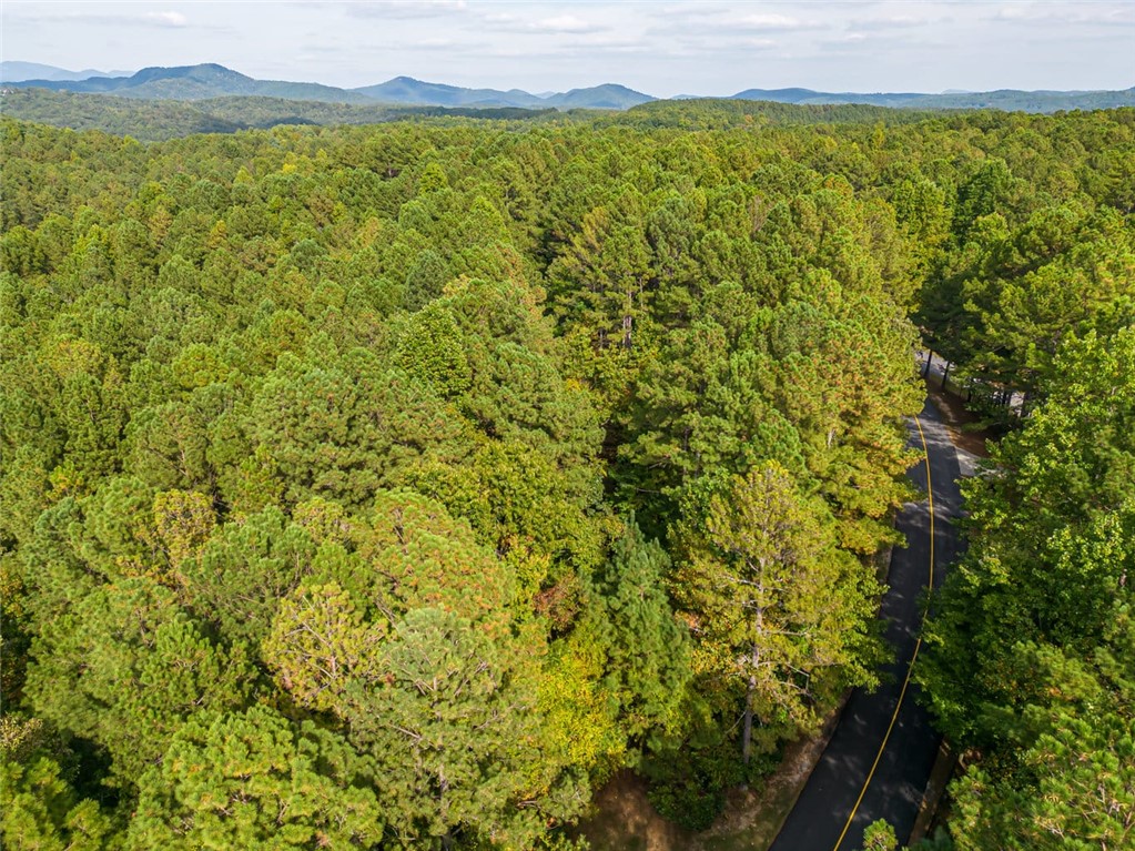310 Top Ridge Drive Sunset, SC 29685 - Photo 9 of 9