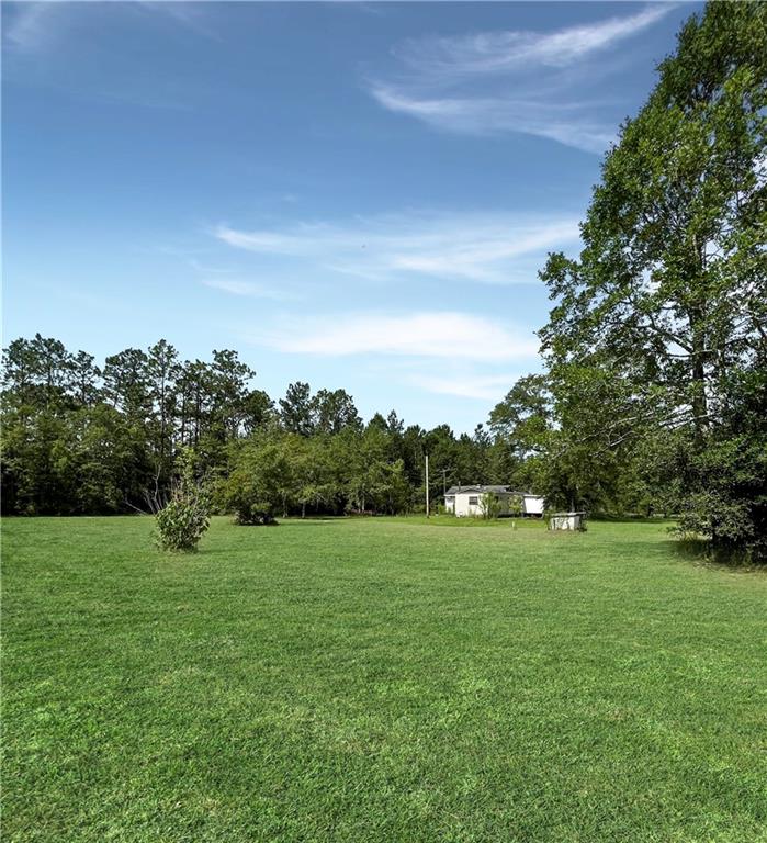 12 Frog Pond Road Carriere, MS 39426 - Photo 5 of 7 Gallery Image 5