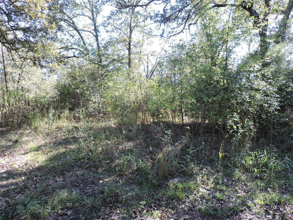 0 Tempie Road Trinidad, TX 75163 - Photo 1 of 1 Gallery Image 1
